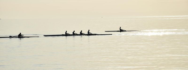 Abstract silhouettes of people exercising in a row.